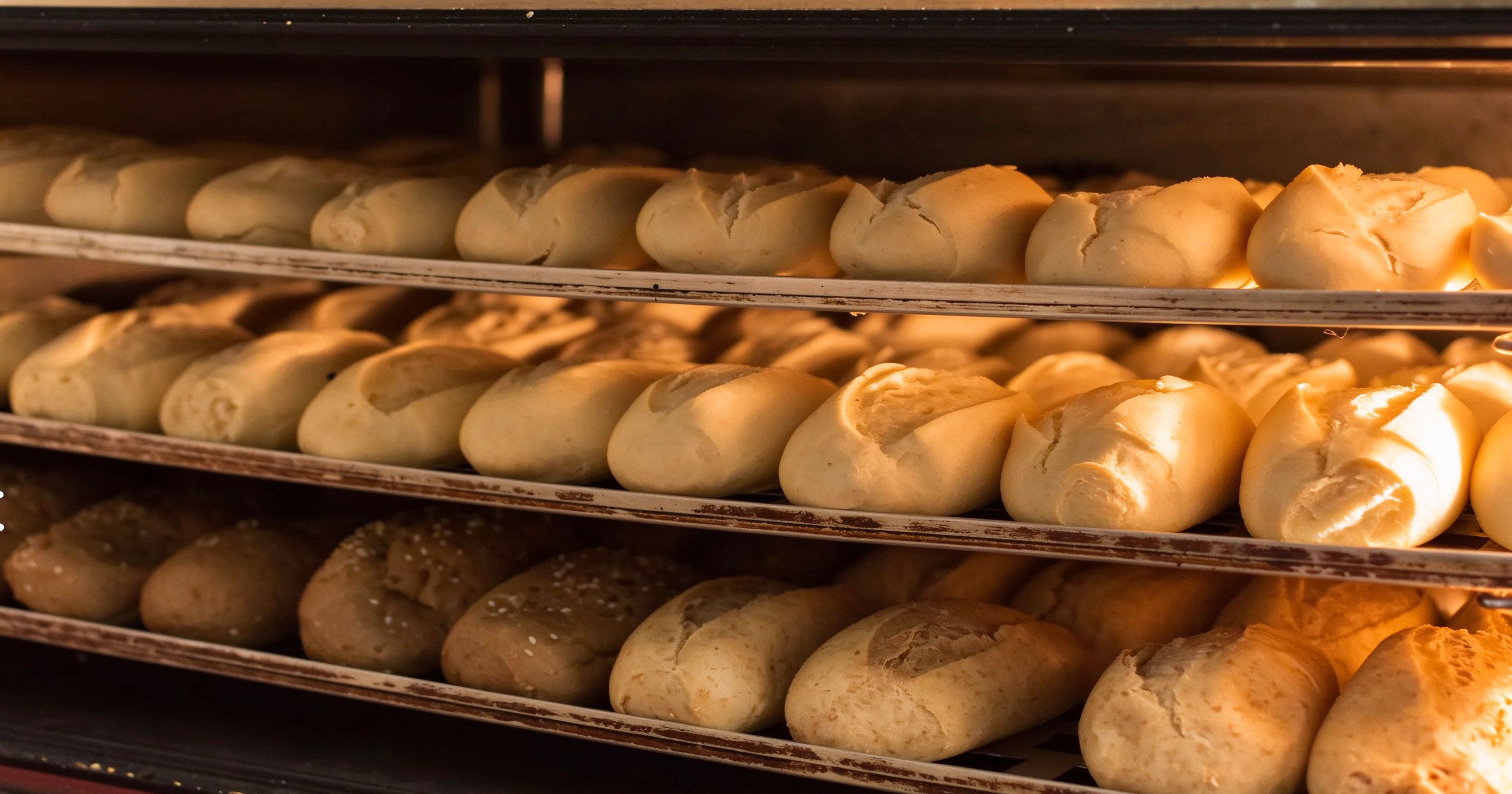 Commercial Bakery Equipment Checklist: What to Buy at Every Stage of Growth
