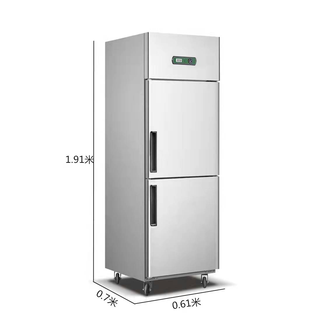 2 Door Refrigerator Commercial Refrigerator - 500L